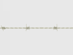 barb wire 3D 模型