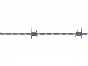barb wire 3D 模型
