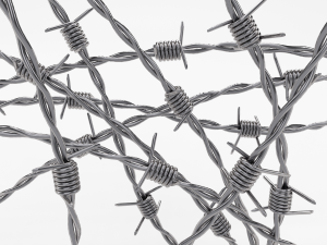 barb wire chrome 3D Model