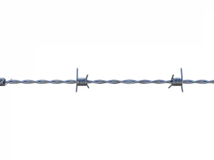 filo spinato cromato Modello 3D