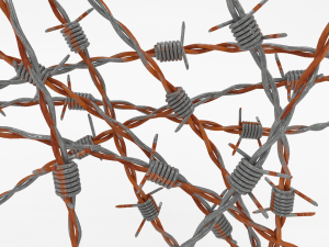 barb wire weathered 3D Model