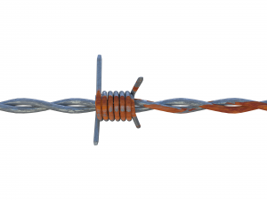 barb wire weathered 3Dモデル