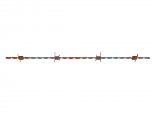 barb wire weathered 3Dモデル