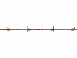 barb wire weathered 3Dモデル