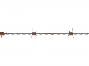 barb wire weathered 3Dモデル
