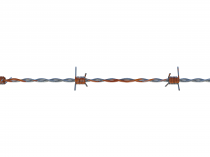 barb wire weathered 3Dモデル