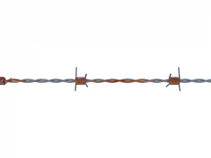 barb wire weathered 3D Model