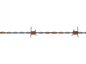 barb wire weathered 3Dモデル