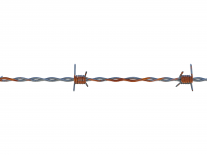 barb wire weathered 3Dモデル