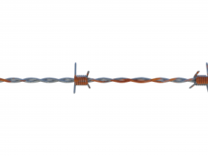 barb wire weathered 3Dモデル