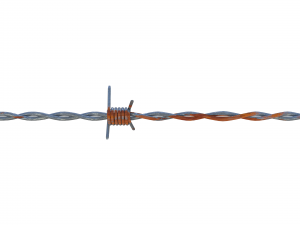 barb wire weathered 3Dモデル