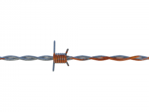 barb wire weathered 3Dモデル