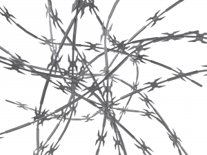 razor wire chrome 3D Model