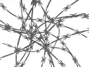 drut kolczasty Model 3D