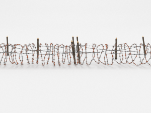 barb wire obstacle 20 3D-Modell