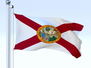 animated florida flag 3D Model