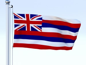 animated hawaii flag 3D मॉडल