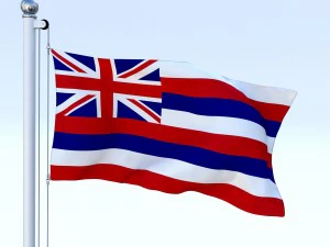 animated hawaii flag 3D Model