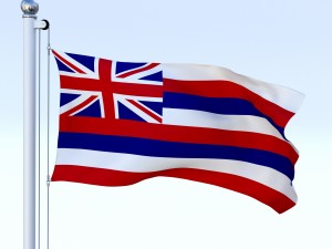 animated hawaii flag 3D 모델
