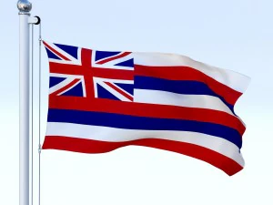 animated hawaii flag 3D Model