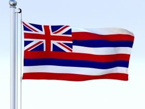 animated hawaii flag 3D 모델