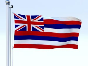 animated hawaii flag 3D Model