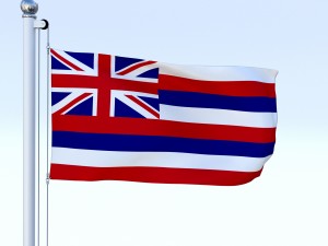 animated hawaii flag 3D 모델