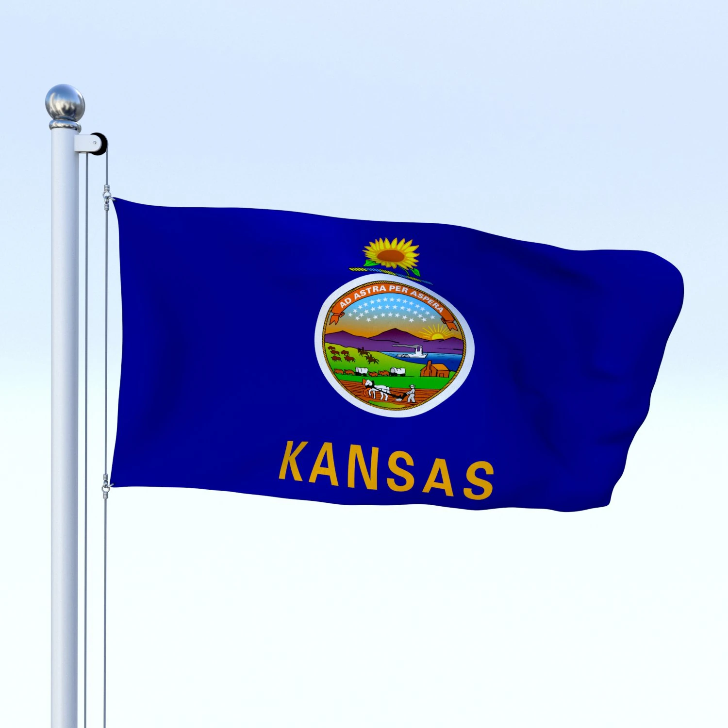 animated kansas flag 3D Model .c4d .max .obj .3ds .fbx .stl .blend 