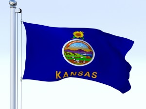 animated kansas flag Model 3D