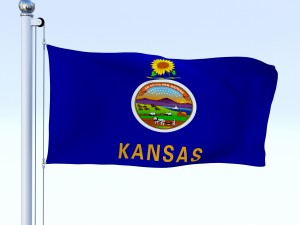 animated kansas flag Model 3D