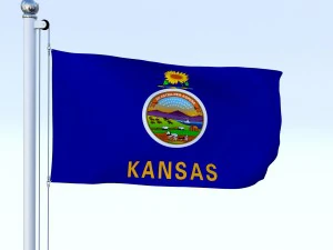 animated kansas flag 3D Model
