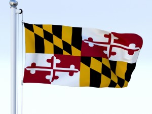 animated maryland flag 3D Model