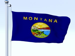 animated montana flag 3D Model