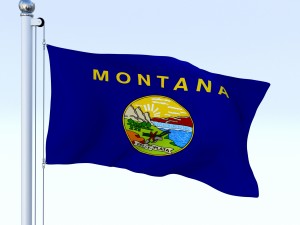 animated montana flag 3D Model