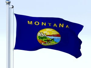 animated montana flag 3D Model