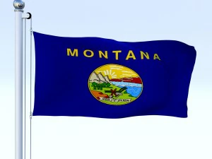 animated montana flag 3D Model