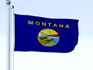 animated montana flag 3D Model