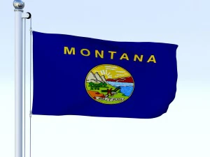 animated montana flag 3D Model