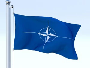 animated nato flag 3D Model