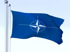 animated nato flag 3D Model