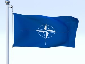 animated nato flag 3D Модель