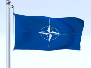 animated nato flag 3D Model
