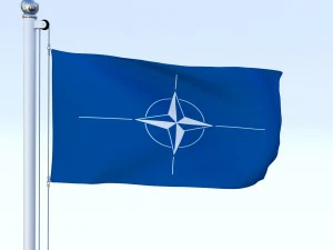 animated nato flag 3D Model