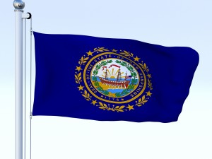 animated new hampshire flag 3D Model