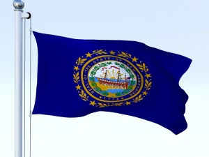 animated new hampshire flag 3D Model