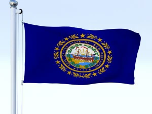 animated new hampshire flag 3D Model