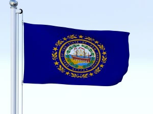 animated new hampshire flag 3D Model