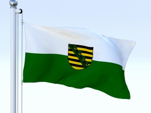 animated saxony german state flag 3D Model