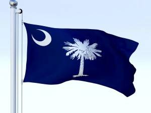 animated south carolina flag 3D Model