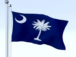 animated south carolina flag 3D Model